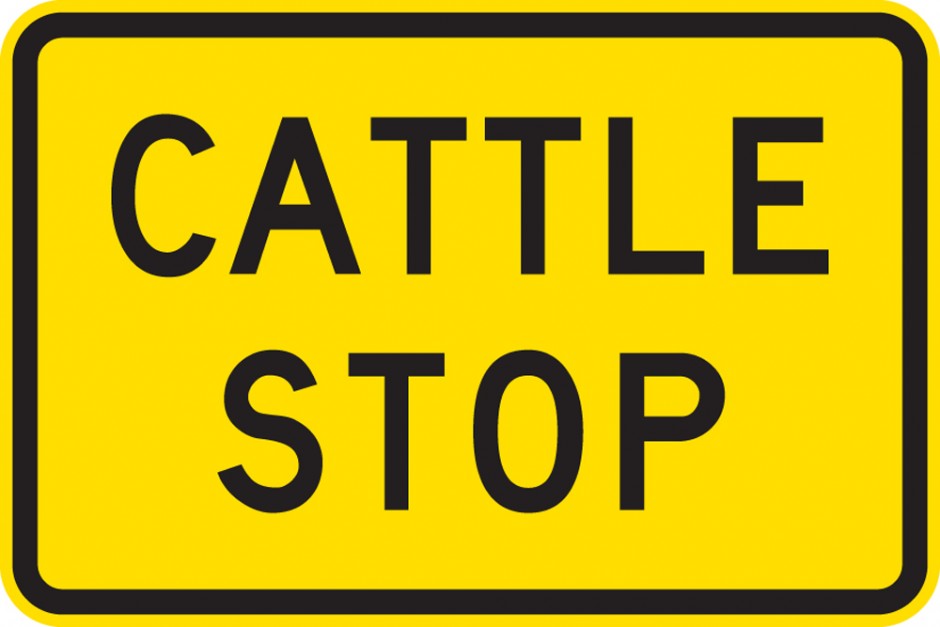 Other Hazard - Cattle Stop