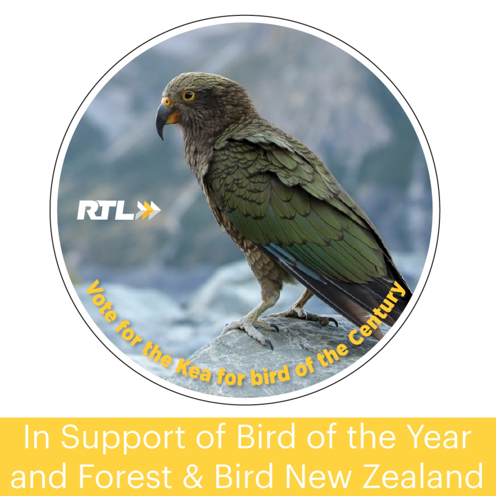 what-does-rtl-love-about-the-kea-bird-rtl