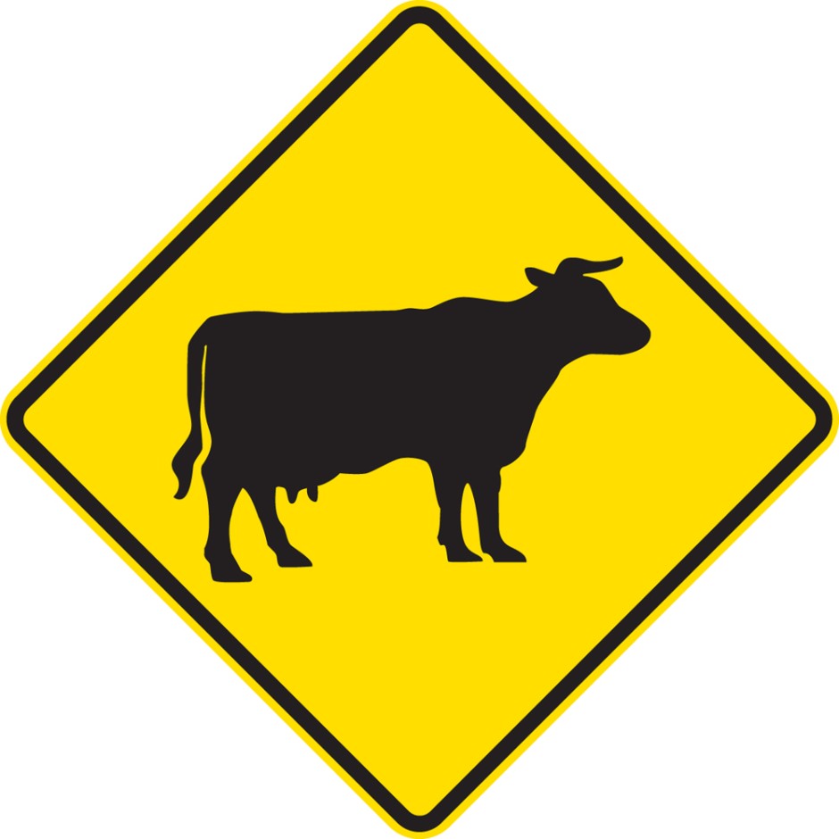 Stock - Permanent (Cattle / Cow)