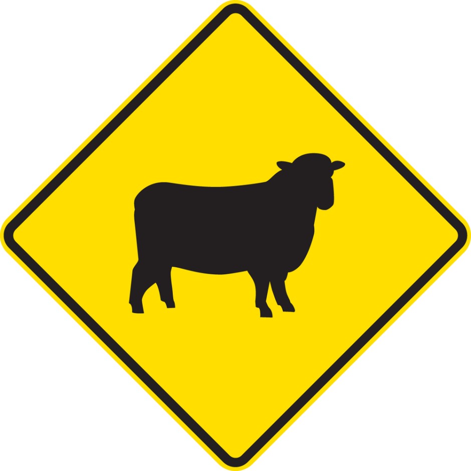 Stock - Permanent (Sheep)