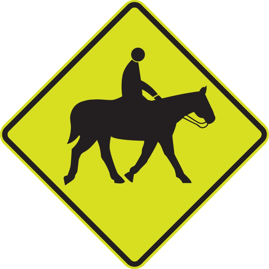 WU7 Equestrian/ Horse and Rider